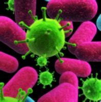 Simptomų palyginimas: virusinė vs. bakterinė infekcija