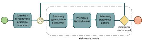 Konsultavimo procesas