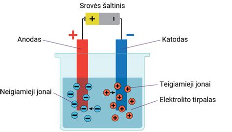 Vaizdas, iliustruojantis elektrolitų svarbą organizmui