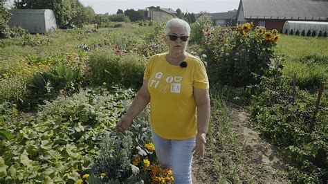 Genovaitės Kudrevičienės daržas su egzotiškomis daržovėmis