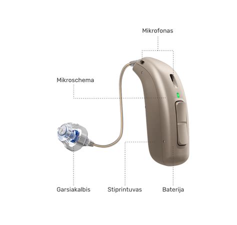 Schematinis klausos aparato veikimo principas