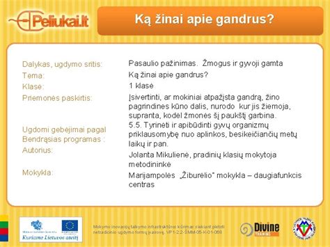 Schematinis vaizdas apie ugdymo sritis