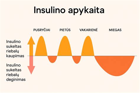 schema kaip veikia riebalų deginimo procesas organizme