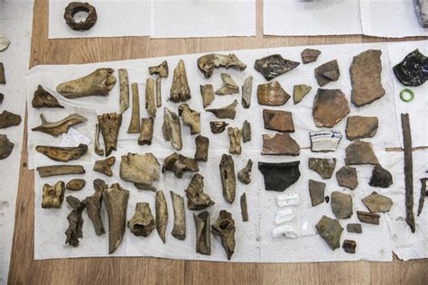 Liangzhu miesto griuvėsiai ir archeologiniai radiniai