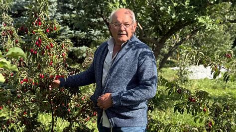 Įvairūs medžiai sode