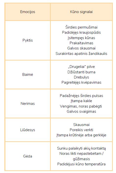 Schema apie emocijų atpažinimą