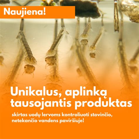kenkėjų naikinimas daržovėse