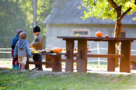 Istorinė nuotrauka ar iliustracija, vaizduojanti pirmuosius lauko darželius Skandinavijoje.