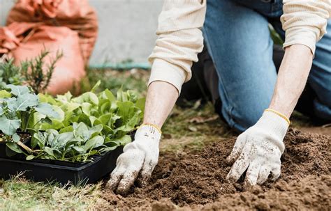 Pavasariniai sodo darbai