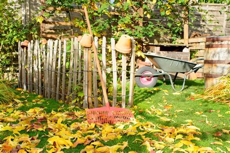 Rudens sodo darbai - derliaus nuėmimas ir paruošimas žiemai