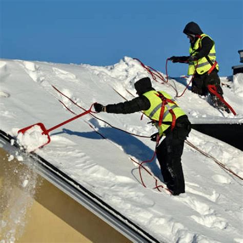 Žiemos darbai sode - apsauga nuo šalčio ir sniego