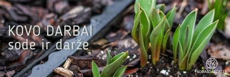 Kovo mėnesio darbai sode ir darže