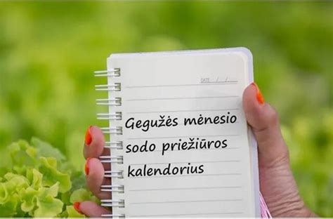 Gegužės mėnesio sodo darbai - sodinimas ir priežiūra