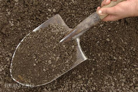 Sunkios ir lengvos dirvos gerinimas