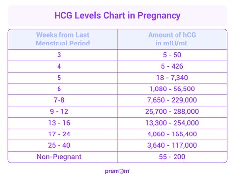 Chorioninio gonadotropino (hCG) molekulė