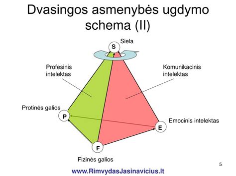 Schema: Dvasingumo ugdymo kryptys
