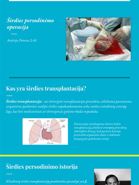 schematinis išmatų persodinimo proceso pavaizdavimas