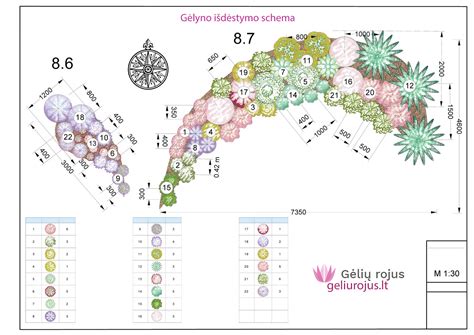 Augalų kaimynystės schema