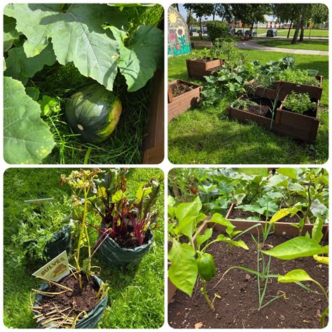 Daržo darbai pagal sezonus