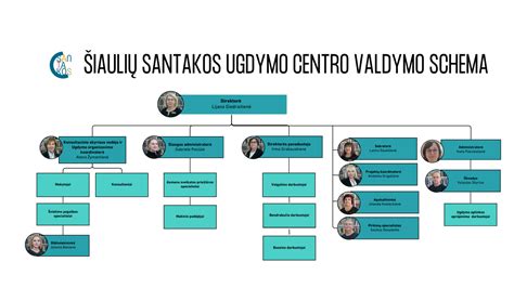 Kompetencijų ugdymo schema