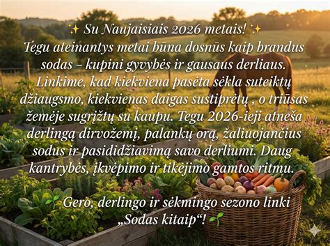 nuotrauka derlingo daržo