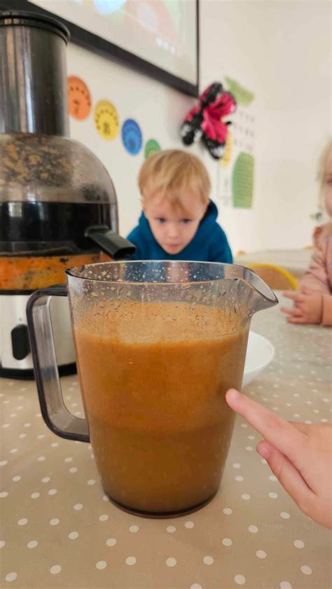 Vaikai ragauja vaisių sultis