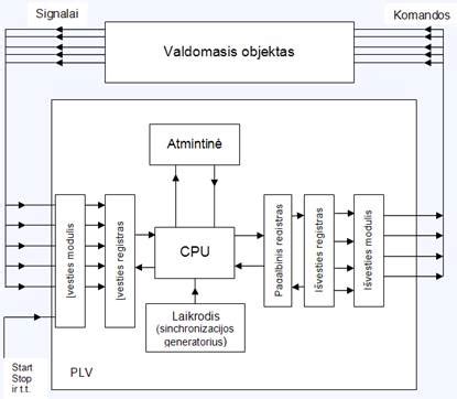 Žmogaus spermatozoido sandaros schema