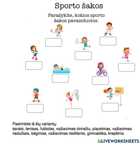 Įvairios sporto šakos