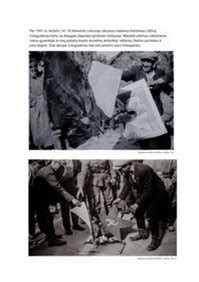 Pokario laikotarpio darželis su bijūnais ir dekoratyviais takeliais