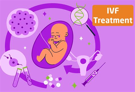 Apvaisinimo mėgintuvėlyje (IVF) schema