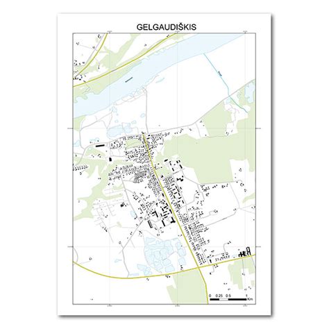 Žemėlapis su Gelgaudiškio įstaigų lokacijomis
