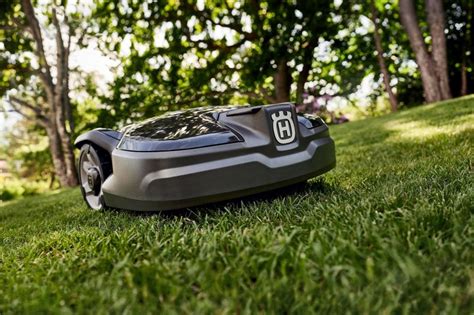 Pavasariniai vejos priežiūros darbai