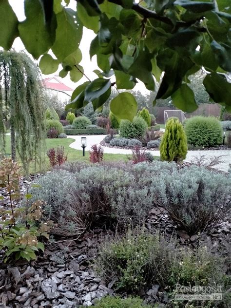 Senų medžių ir krūmų integracija į modernų kiemą