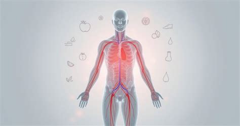 Įvairūs veiklos staliukų tipai ir jų funkcijos