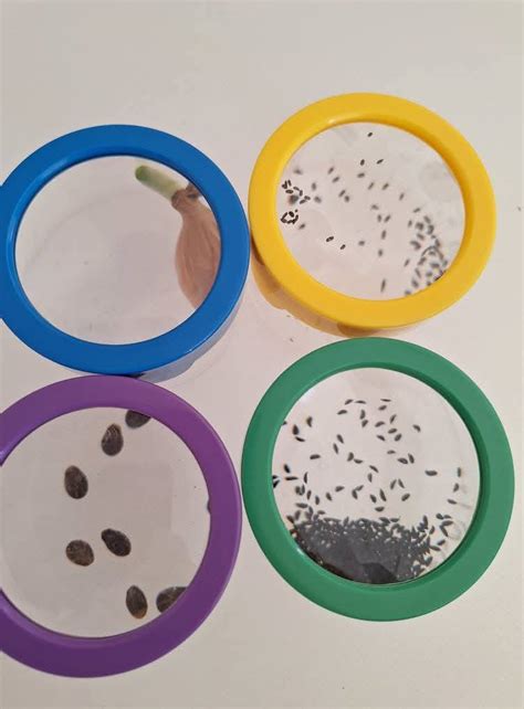 Vievio lopšelio-darželio 