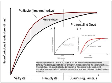 Scheminis patentavimo proceso pavaizdavimas