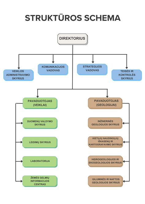 Schema: Įmonės veiklos aplinkos (vidutinė ir išorinė)