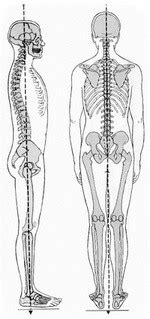 Schematinis vertikalios linijos testo atlikimas laikysenos įvertinimui