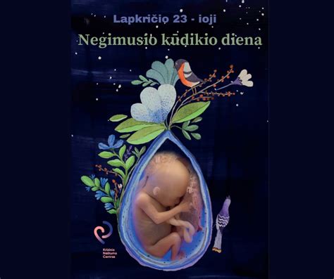 Schema: Nėštumo nutraukimo terminai ir metodai Lietuvoje