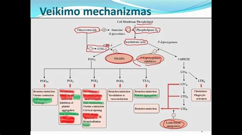 Antacidinių vaistų veikimo schema