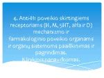 Histamino H2 receptorių blokatorių veikimo principas