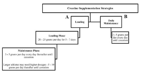 Žarnyno mikrofloros ir cukraus vartojimo sąveikos schema
