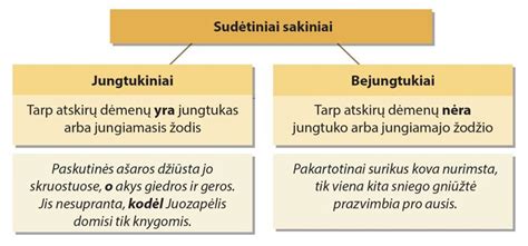 Schematinis Viburcol sudėtinių dalių ir jų poveikio pavaizdavimas