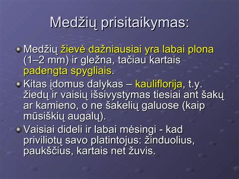 Tipai placentų pas skirtingus žinduolius