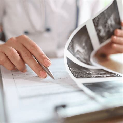 Echoskopinis vaisingumo tyrimas