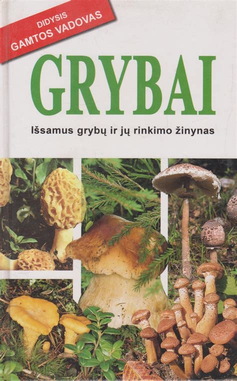 Vaistinių grybų pavyzdžiai ir jų nauda