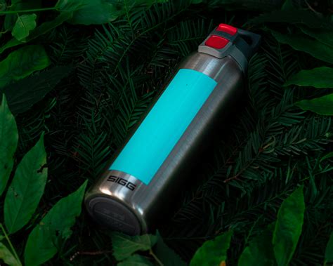 metalinių ir termo gertuvių palyginimas