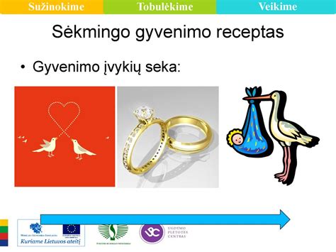 Sėkmingo pastojimo schema