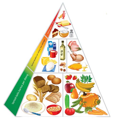 Nėščios kalės mityba ir priežiūra