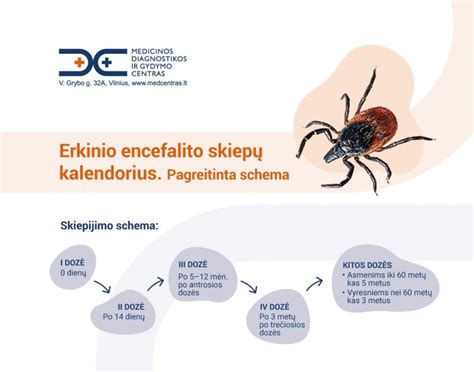 Erkinio encefalito simptomai